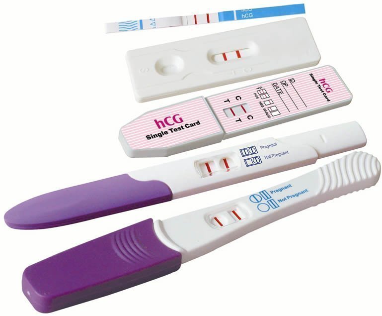 interesting-can-a-drug-test-detect-pregnancy