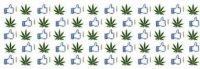 weed emoji
